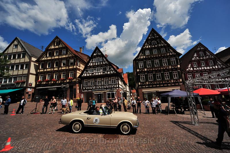 DSC_6647.JPG
