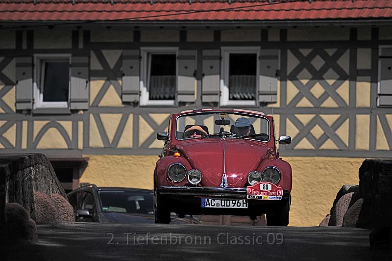 DSC_6993.JPG