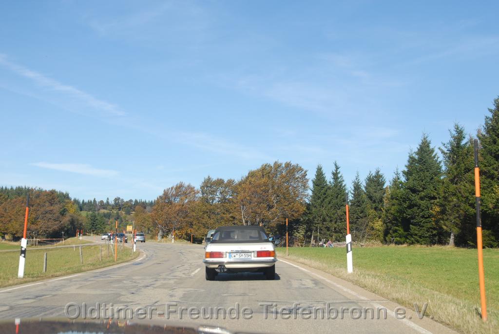 DSC_0116.JPG
