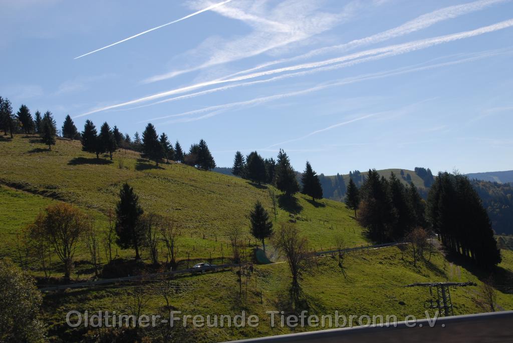 DSC_0121.JPG